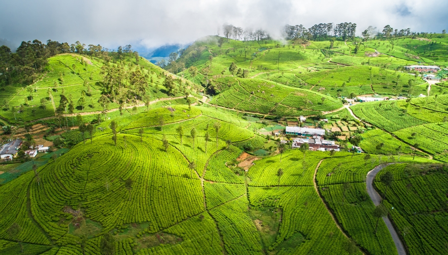 Lipton's Seat_Haputale Sri Lanka